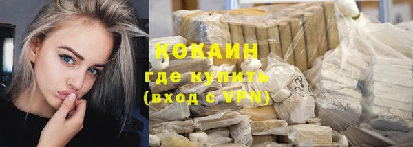 прущие грибы Кукмор