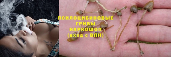 прущие грибы Кукмор