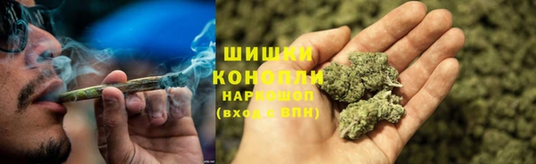 стаф Кулебаки