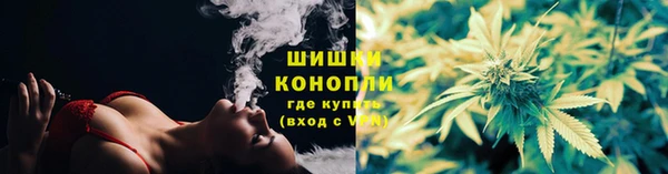 стаф Кулебаки