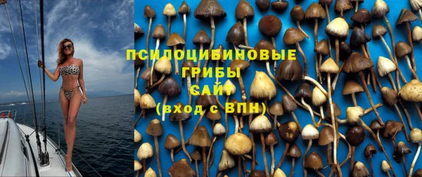 Альфа ПВП Великий Новгород
