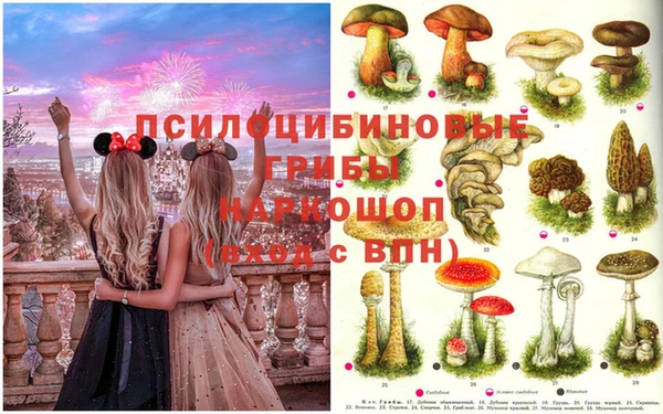 прущие крисы Куйбышев