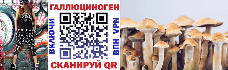 Псилоцибиновые грибы Cubensis  МЕГА зеркало  Шумиха 