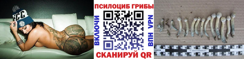 Псилоцибиновые грибы мицелий Шумиха